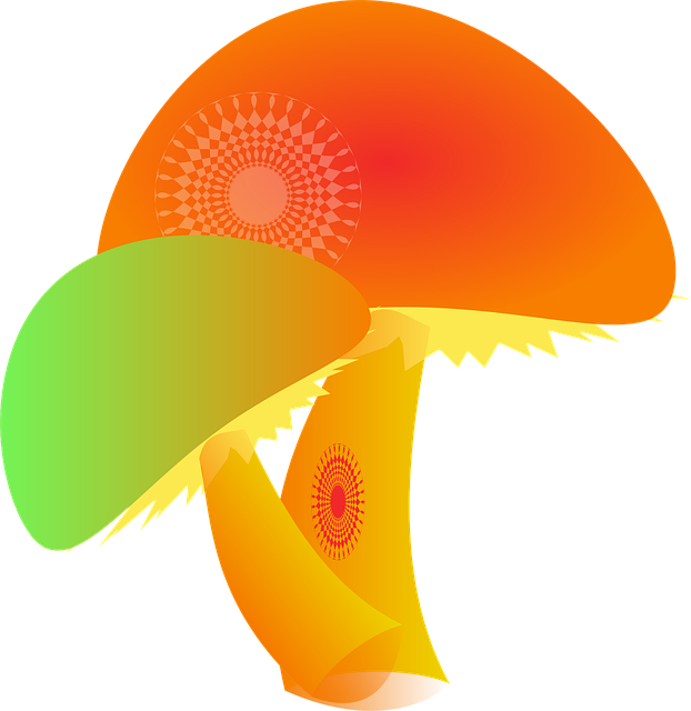 Free mushroom fungi nature illustration