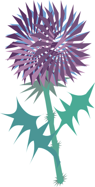 Free thistle beautiful flowers blossom vector