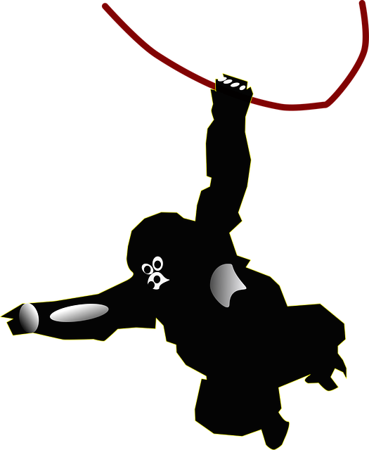 Free liana monkey mountain gorilla vector