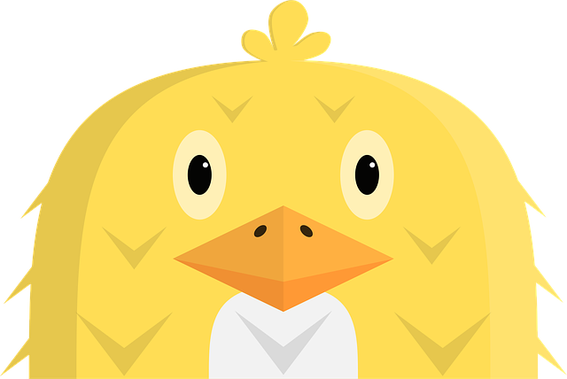 Free animal chick cute vector