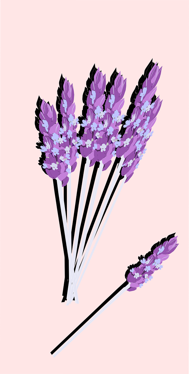 Free Lavender Plant Vector Art - Download 4,504+ Lavender Plant Icons ...
