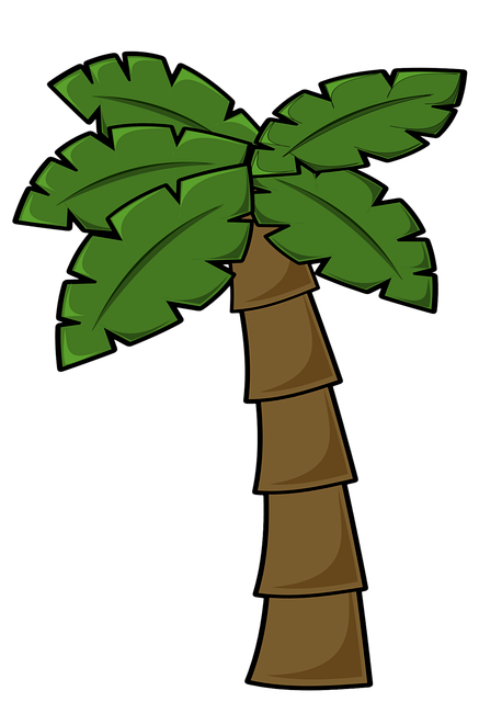 Free coconut tree nature jungle vector