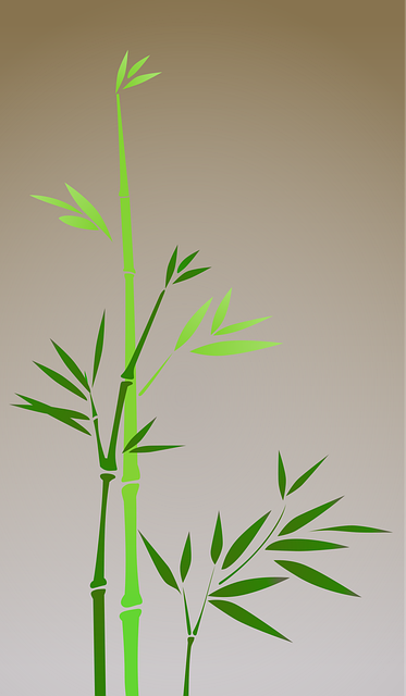 Free asia nature bamboo vector