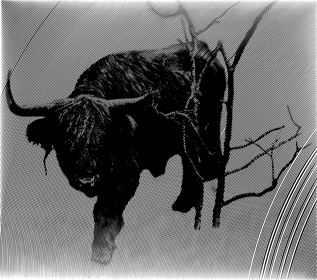 Download free HD stock image of Black Drawing Free black drawing hatching vector