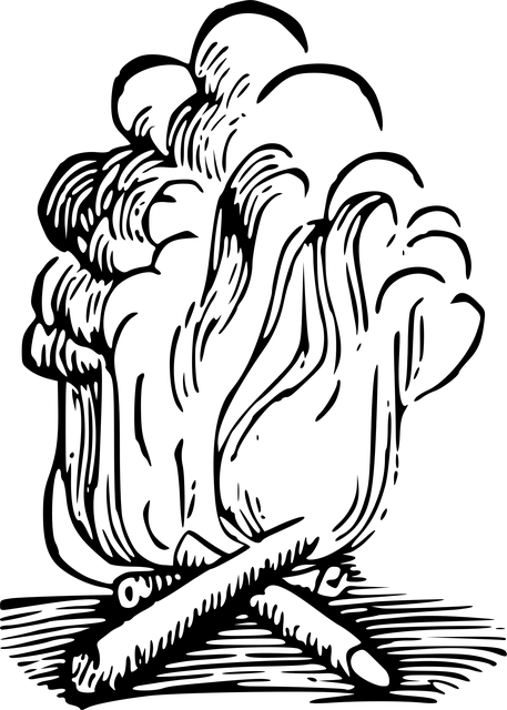 Pembakaran, Api Unggun, Api, Merokok