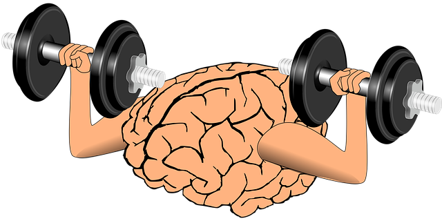 Free brain growth learning vector