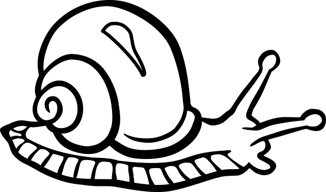 Free animal nature molluscs vector