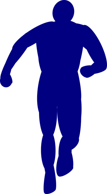 Free anatomy back back view vector