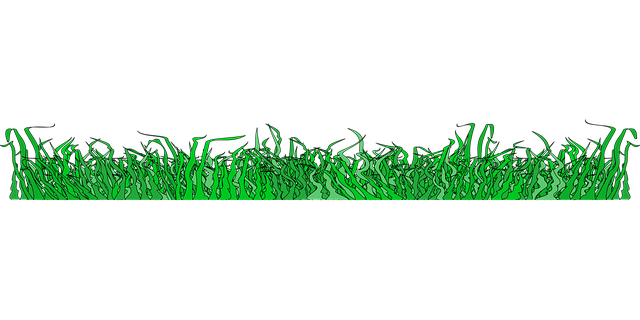 Free border nature divider vector