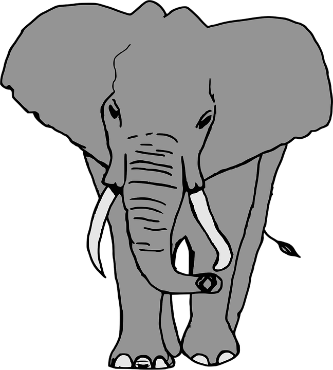 Download 560 Koleksi Gambar Gajah Vektor Terbaik HD