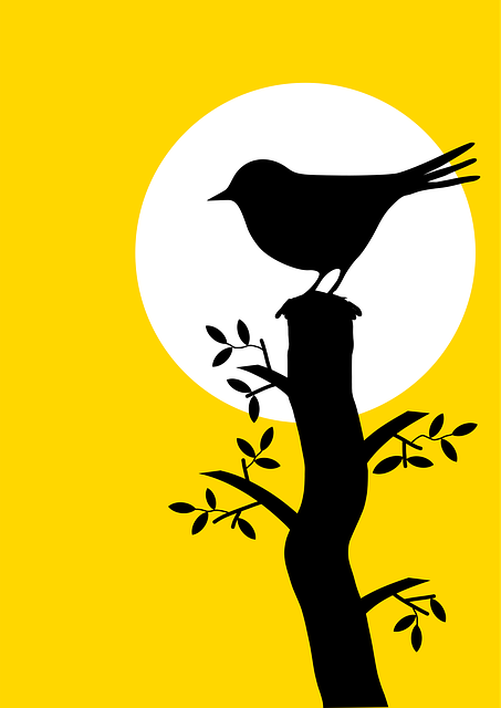 Free animal bird blackbird vector