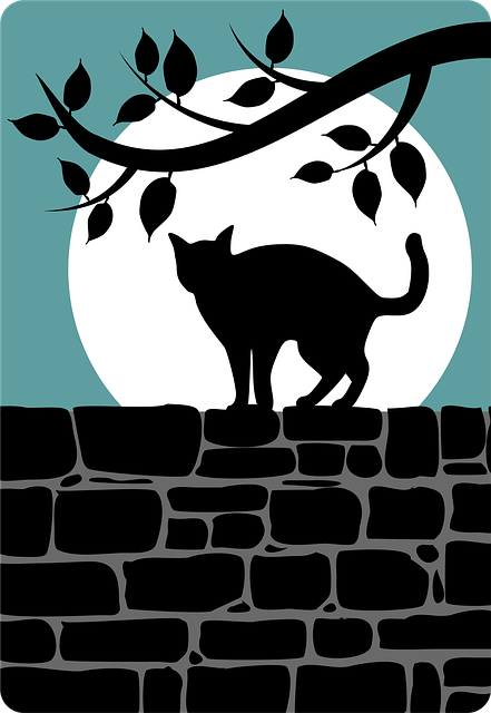 Free animal pet black cat vector