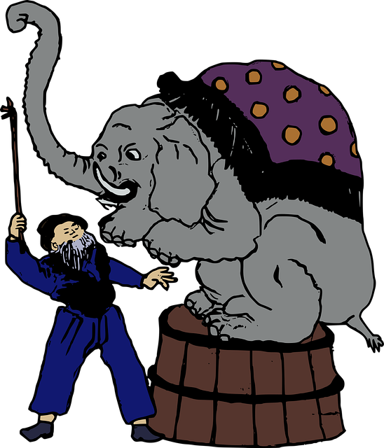 Free animal circus drawing illustration