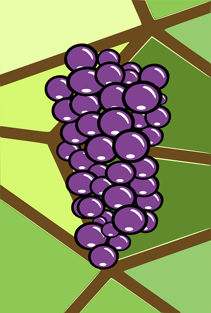 Free brown bunch grape illustration