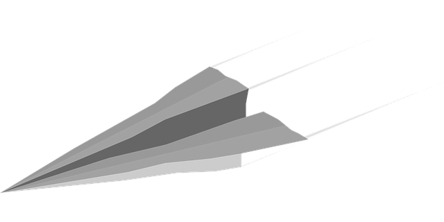 Free flight minimal paper vector