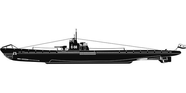 Free arctic fleet memorial illustration