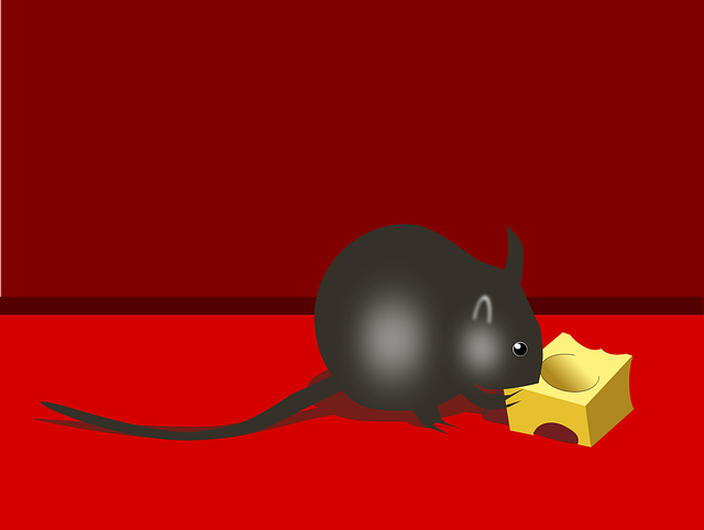 Download free HD stock image of Mouse Cheese Free mouse cheese nature vector