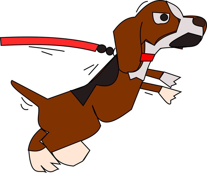 Download Dog, Pet, Leash. RoyaltyFree Vector Graphic Pixabay