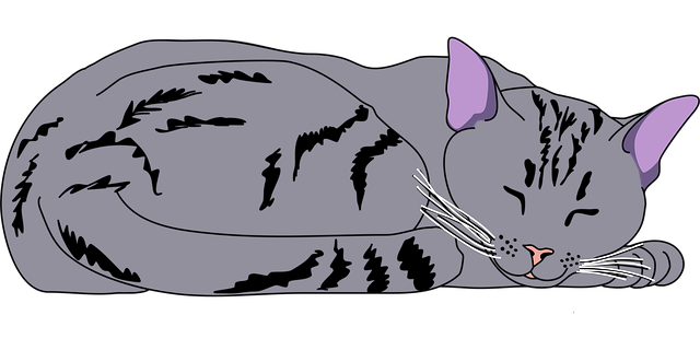 Free animal cat center vector