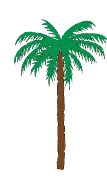 Free Pool Summer vector and picture