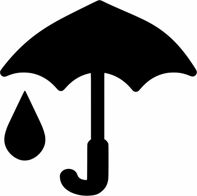Free rain nature raindrop vector