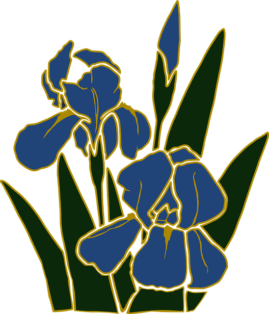 Free flower flower background flower wallpaper vector
