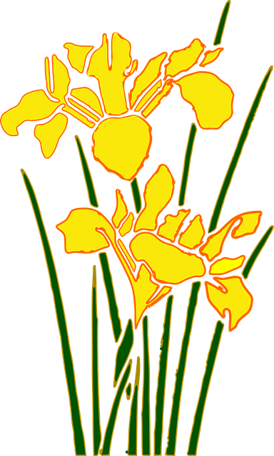 Blomst, Natur, Blomst Tapet