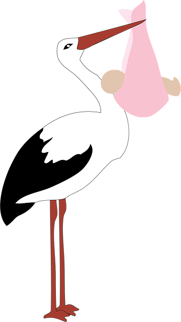 Free baby bird deliver vector