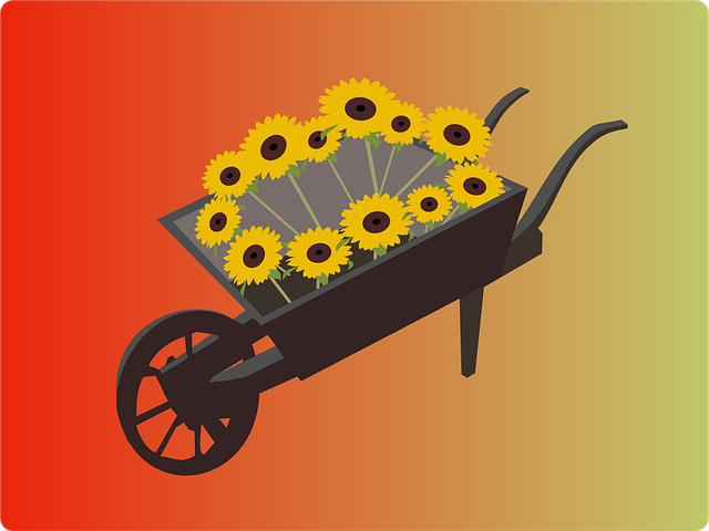 Free sunflowers wheelbarrow pushcart illustration