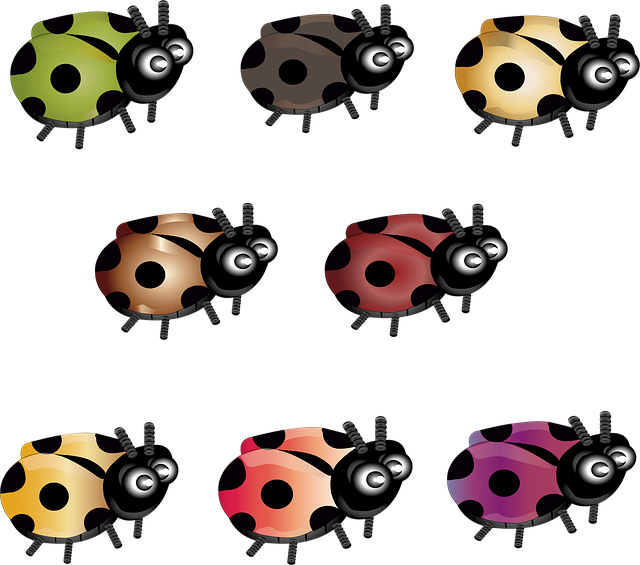 Free brown bug colors illustration