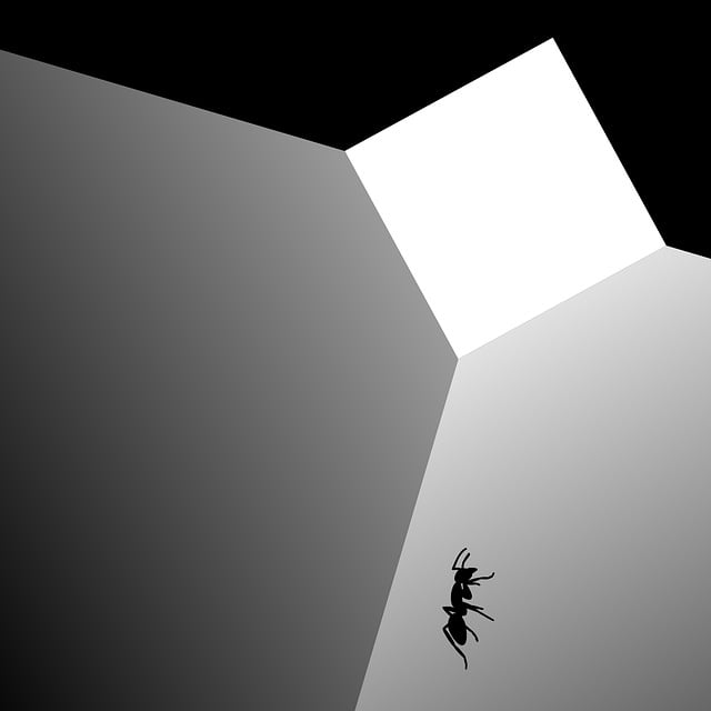 Free ant box daily clipart vector