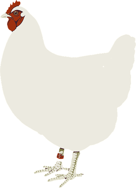 Free animal nature barnyard vector