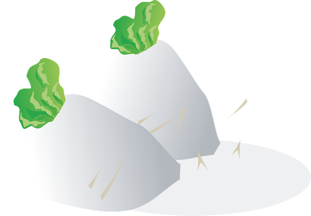 300개 이상 무료 무 및 채소 일러스트레이션 - Pixabay