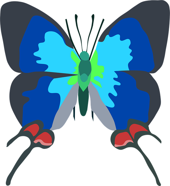 Download free HD stock image of Animal Bug Free animal bug butterfly vector