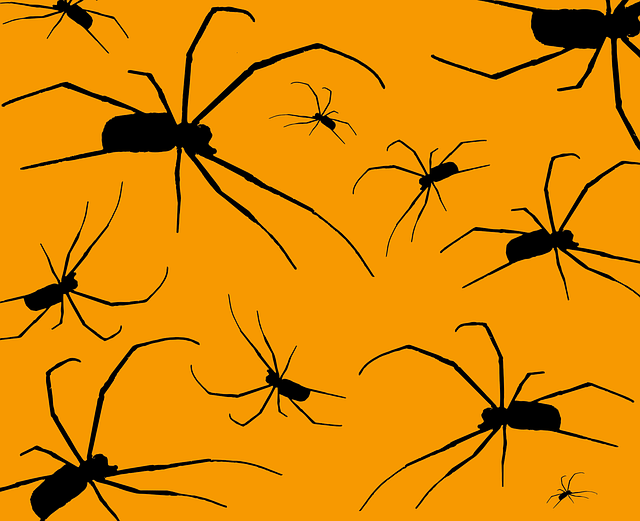 Free arachnid fear halloween vector