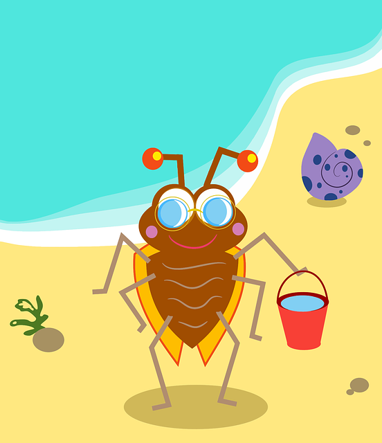 Free anthropomorphic beach bug vector