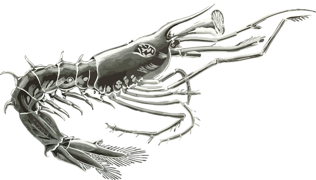 Free animal art forms in nature crustacean vector