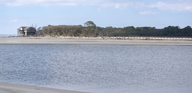 Free Beach Carolina photo and picture