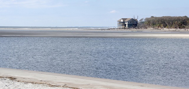 Free Beach Fripp photo and picture