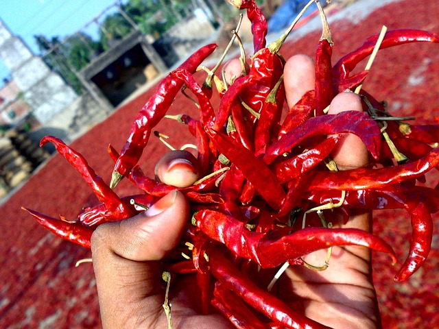 Chili Red-Chili Dry - Free photo on Pixabay