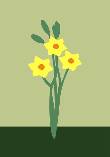 Free daffodils beautiful flowers flower illustration