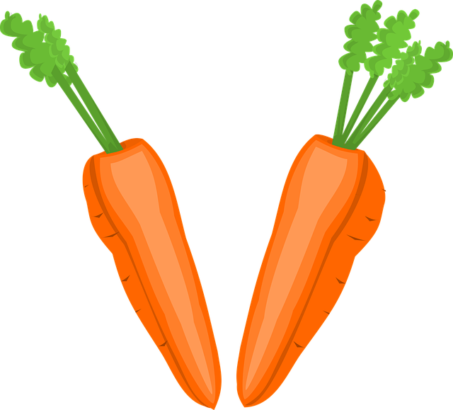 Free carrot cut greens vector