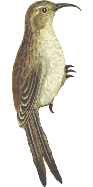 Free animal arboreal nature vector