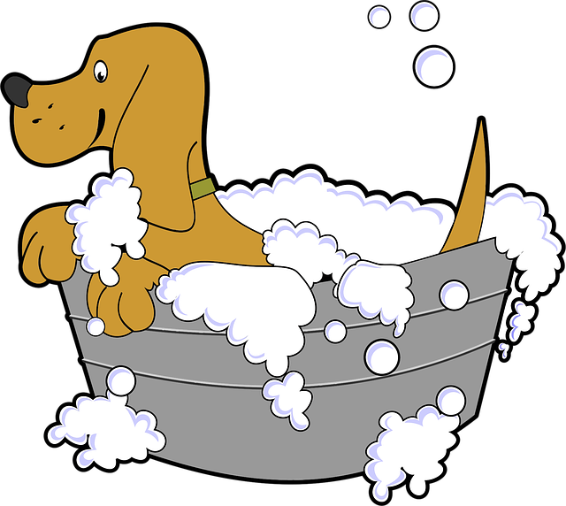Free animal bath canine vector