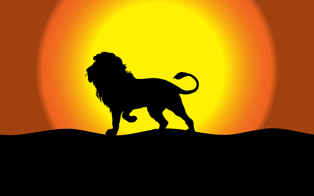 Free animal cat dusk vector
