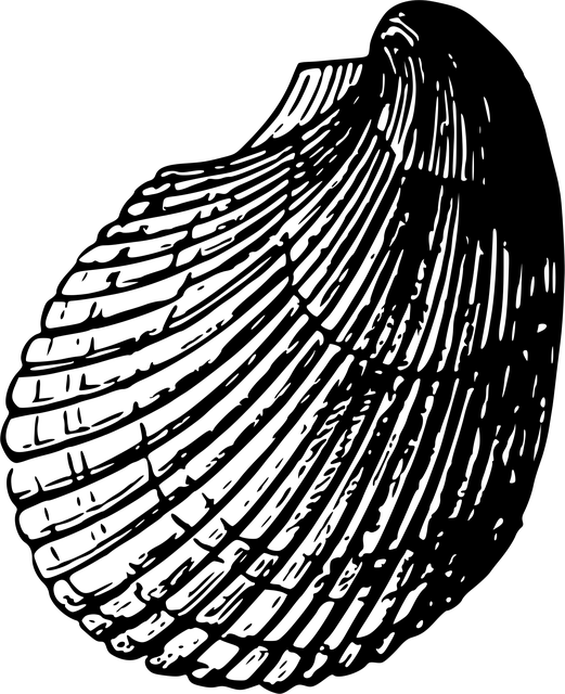 Free beach ocean sea vector