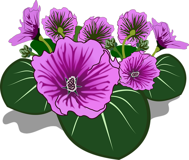 Free clip art flor flora vector