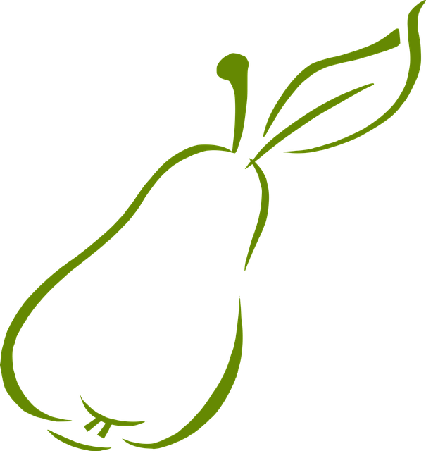Free pear fruit abstract vector