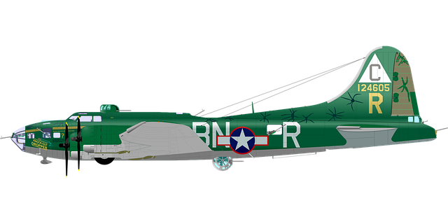 Free aircraft bomber usa illustration