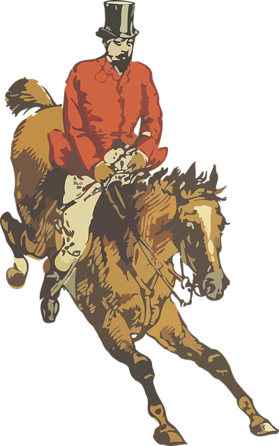 Download free HD stock image of Animal Horse Free animal horse hunt vector